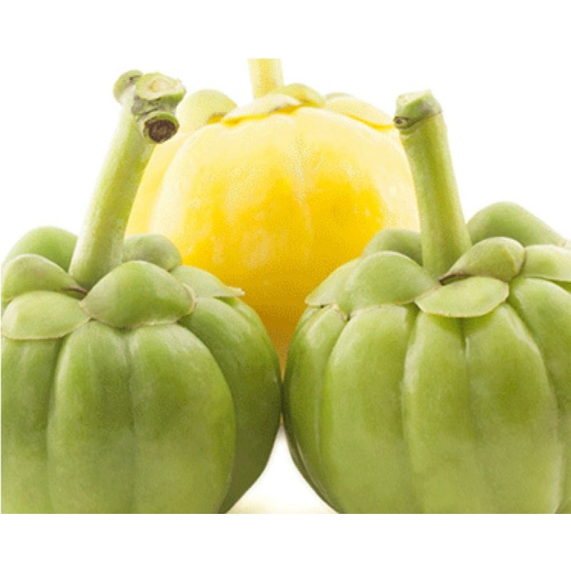 Soybean Extract Manufacturer - Phosphocholine PC Bag Pack