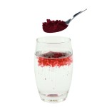 Stevia Extract Supplier - Organic Powder Sweetener Bulk