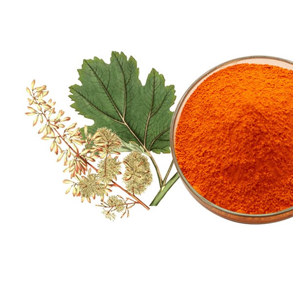 Macleaya Cordata Extract Manufacturer - 95% Chelerythrine HPLC