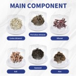 Nail Antibacterial Cream Manufacturer - 20g Fungal Care