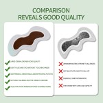 Throat Spray Patch Supplier - Chinese Herb Nasal