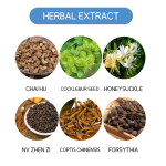 Hearing Care Patch Factory - Natural Herbal Health Care