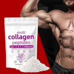 Collagen Powder Manufacturer - Peptide Protein Vitamin Blend