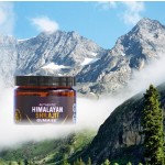 Shilajit Gummies Manufacturer - Honey Flavored Vitality Support