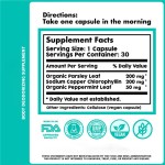 Chlorophyll Capsules Manufacturer - Natural Deodorant Gut Detox OEM