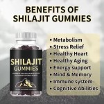 Shilajit Gummies Manufacturer - Fulvic Acid Trace Minerals