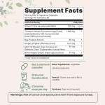 Turmeric Capsules Supplier - Curcumin 95% Herbal Supplement