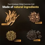 Shilajit Gummies Manufacturer - Sugar-Free Ashwagandha Blend