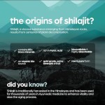 Shilajit Capsules Factory - Himalayan Energy Immune Support