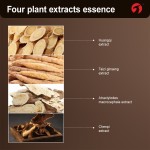 Digestive Capsules Manufacturer - Intestinal Immune Health