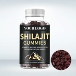 Shilajit Gummies Manufacturer - Fulvic Acid Trace Minerals