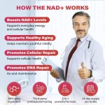 NAD+ Beverage Supplier - 1000mg Collagen Cellular Health