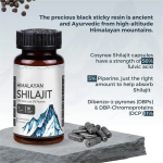 Shilajit Capsules Supplier - Energy Immunity Replenishment