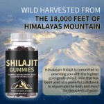 Shilajit Gummies Manufacturer - Fulvic Acid Trace Minerals