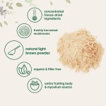 Lions Mane Powder Supplier - 10:1 Mushroom Extract Private Label