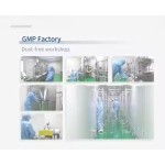 NAD Capsules Manufacturer - Vegan Herbal Supplements Private Label