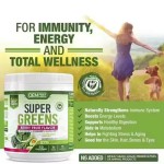 Super Greens Powder Factory - Mixed Fruit Vegetables Probiotics