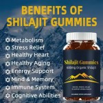 Shilajit Gummies Supplier - Himalayan Sugar-Free Herbal