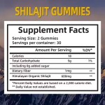 Shilajit Gummies Supplier - Himalayan Sugar-Free Herbal