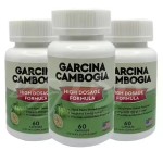 Appetite Suppressant Factory - Herbal Extract Formula Sample