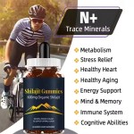 Shilajit Gummies Supplier - Himalayan Sugar-Free Herbal