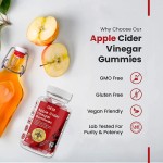 Apple Cider Vinegar Gummies Supplier - 1000mg Food Grade Drum