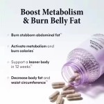 Herbal Weight Loss Capsules Factory - Natural Fat Burner 500 MOQ