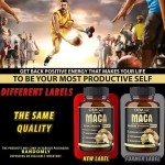 Maca Extract Supplier - Plant Energy Booster Liquid Powder