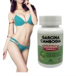 Appetite Suppressant Factory - Herbal Extract Formula Sample