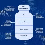 Natural Weight Loss Capsules Supplier - Herbal Fat Burner 500 MOQ