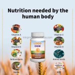 Immune Booster Capsules Supplier - Multivitamin Vegetable Capsules