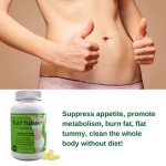 L-Carnitine Capsules Factory - Fat Metabolism Endurance Control