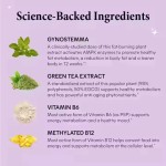 Herbal Weight Loss Capsules Factory - Natural Fat Burner 500 MOQ