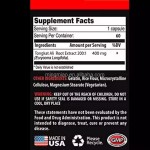 Ajuga Extract Capsules Supplier - Strength Endurance Muscle Growth