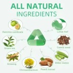 Natural Weight Loss Capsules Supplier - Herbal Fat Burner 500 MOQ