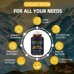 Shilajit Gummies Supplier - Himalayan Sugar-Free Herbal