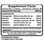 Herbal Weight Loss Capsules Supplier - Burn Belly Fat Fast