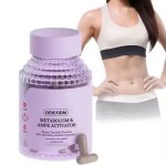 Herbal Weight Loss Capsules Factory - Natural Fat Burner 500 MOQ