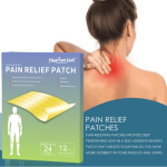 Pain Relief Plaster Manufacturer - Chinese Herbal Arthritis Patch