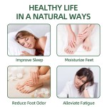 Foot Detox Patch Supplier - Ginger Detoxification Pads