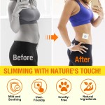 Bee Venom Slimming Patch Supplier - Abdominal Fat Reduction