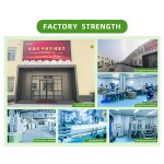 Male Energizer Patch Supplier - Prostate Kidney Care Heat