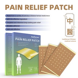Analgesia Plaster Supplier - 12 Hour Body Pain Relief