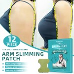 Arm Slimming Patch Supplier - Herbal Medicine Target Weight Loss