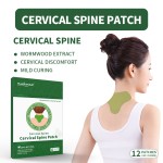 Cervical Pain Patch Factory - Wormwood Herbal Neck Relief