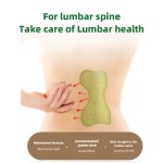 Moxibustion Plaster Supplier - ISO Certified Wormwood Lumbar Spine