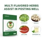 Cervical Pain Patch Factory - Wormwood Herbal Neck Relief
