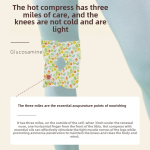 Moxibustion Patch Factory - Cervical Knee Multi-part Warmth