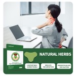 Cervical Pain Patch Factory - Wormwood Herbal Neck Relief