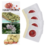 Umbilical Slimming Patch Manufacturer - Lazy Person Abdominal Slimming